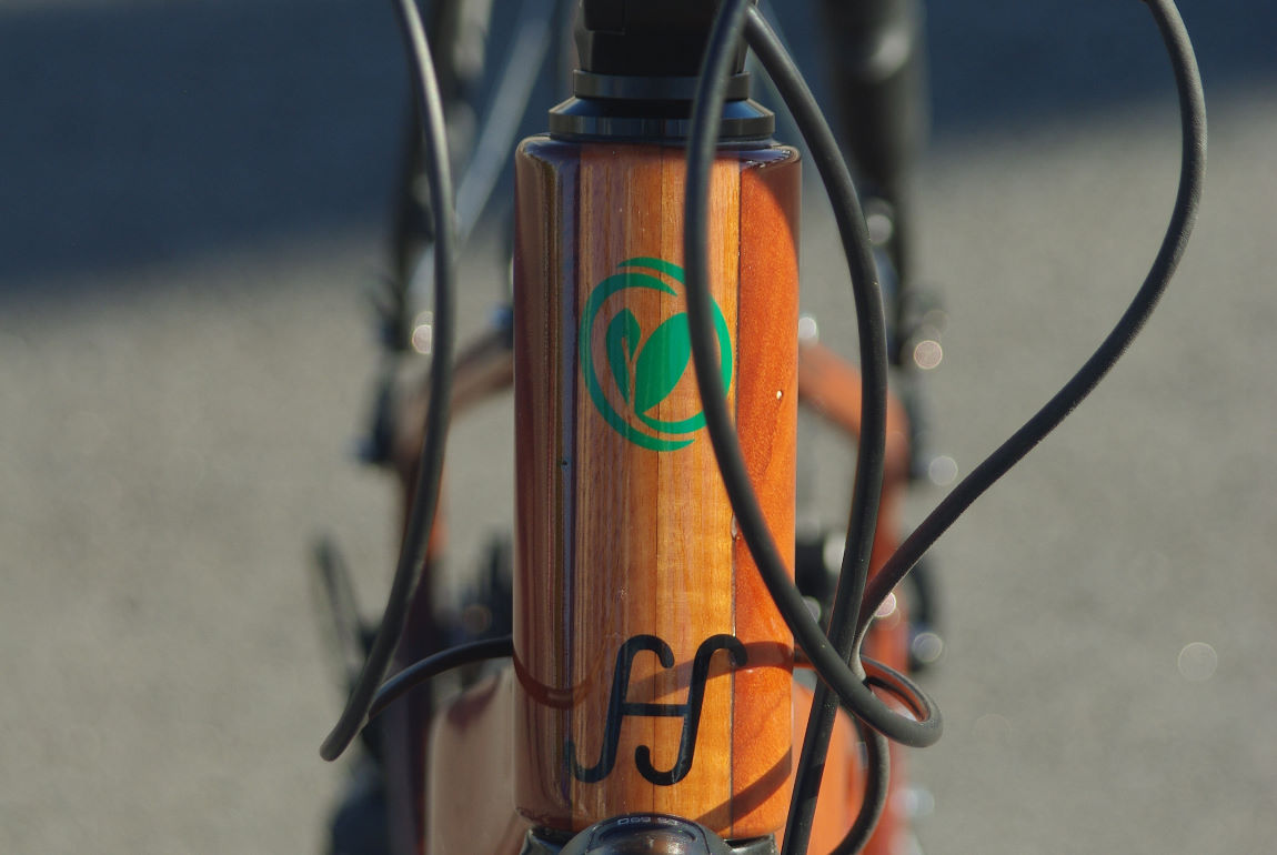 HTech Custom Wood EBike Bike